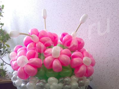 Воздушные шары и композиции, цветы.